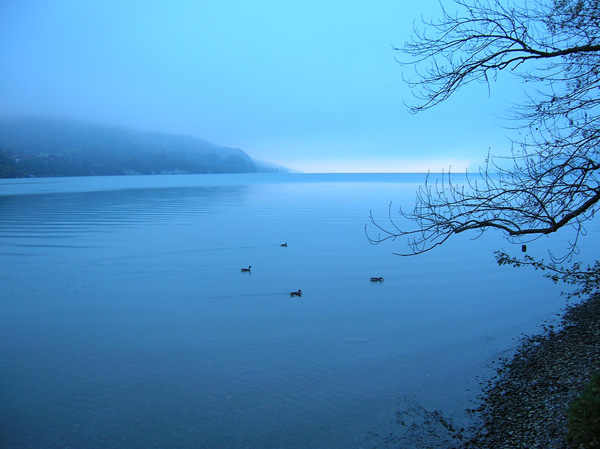 waterscape water photography