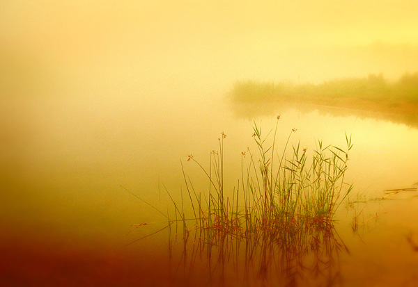 waterscape water photography
