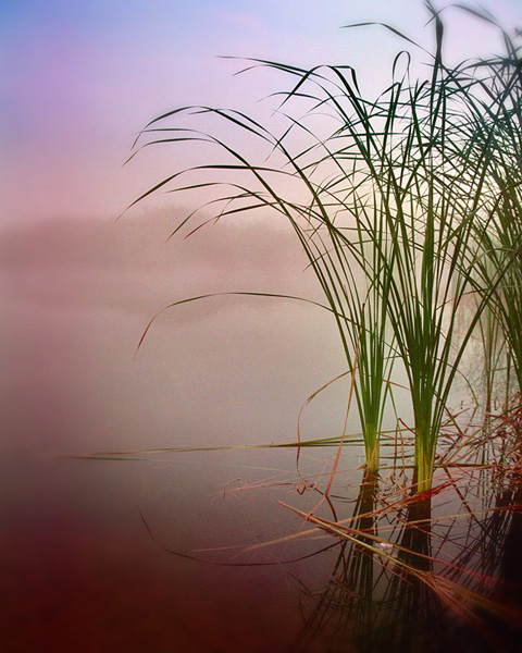 waterscape water photography