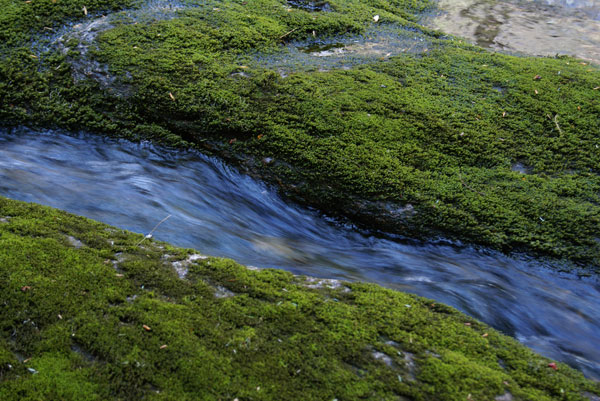 waterscape water photography