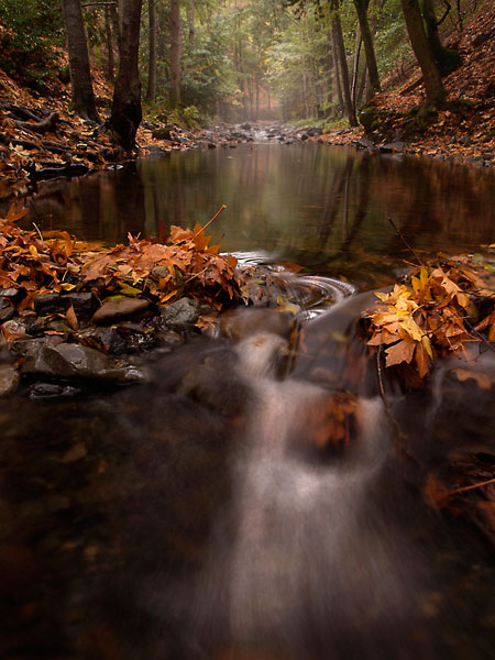 waterscape water photography
