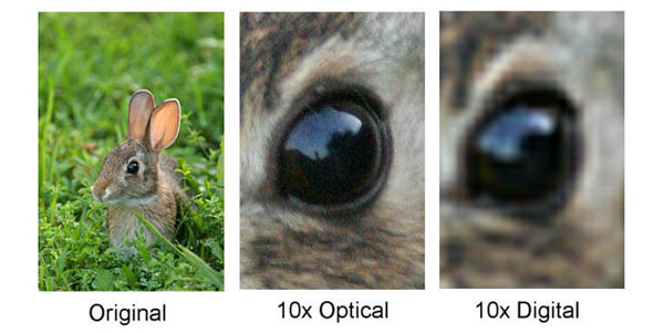 new photographer beginner tips