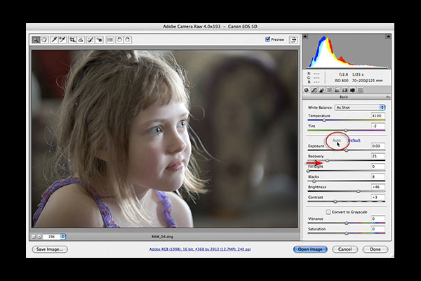 new photographer beginner tips