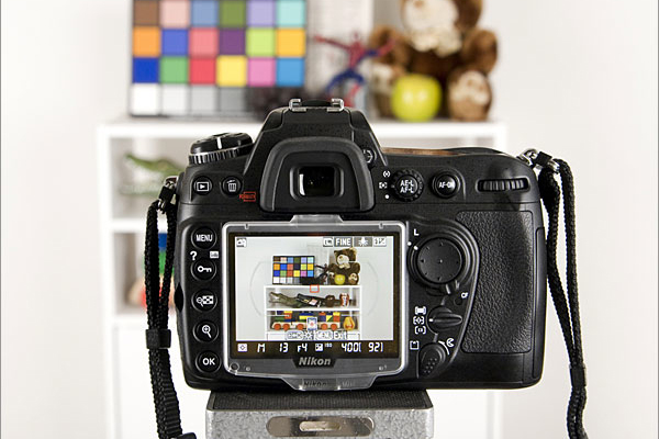new photographer beginner tips