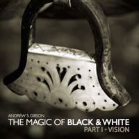 Quick Review: The Magic of Black and White eBook