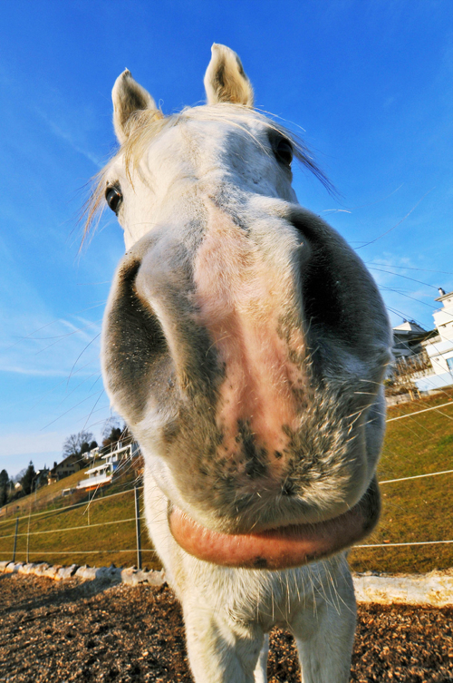 wide-angle photography