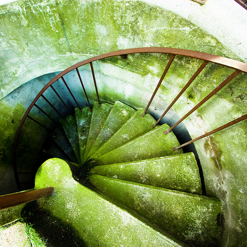 wide-angle photography
