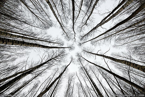 wide-angle photography
