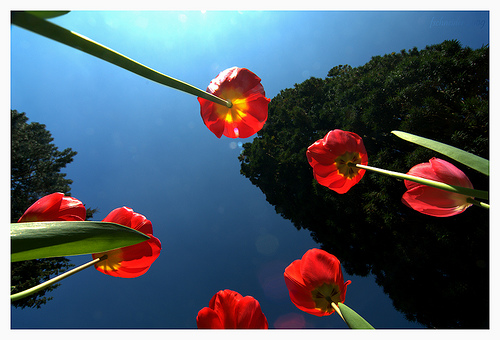 wide-angle photography