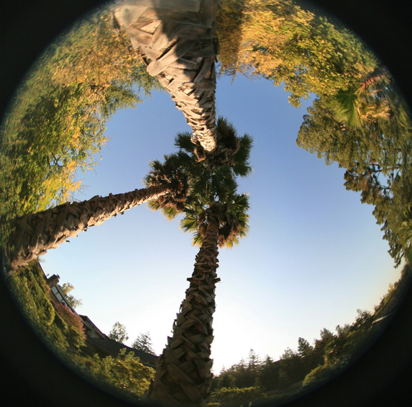 fisheye photography examples