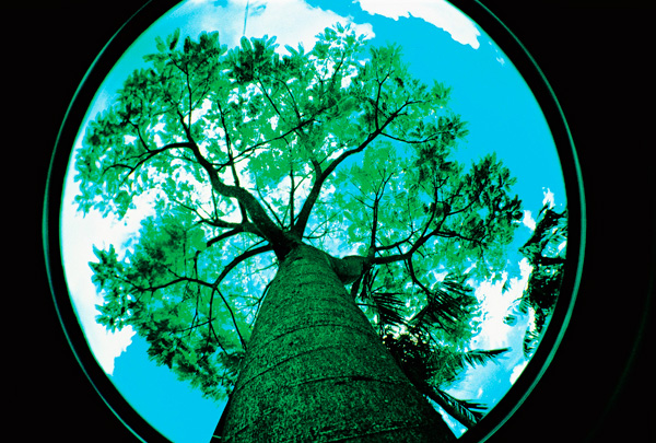 fisheye photography examples