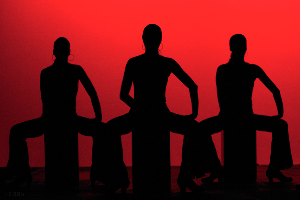 silhouette photography