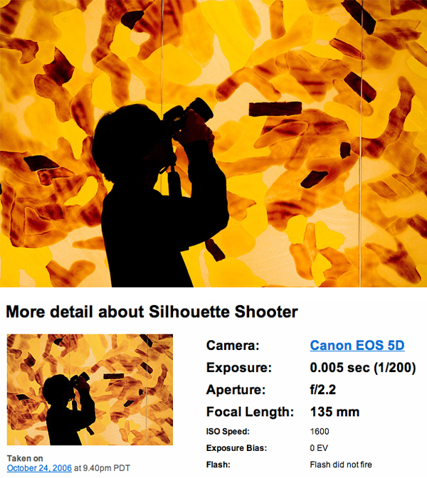 silhouette photography