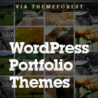 20 WordPress Portfolio Themes for Photographers