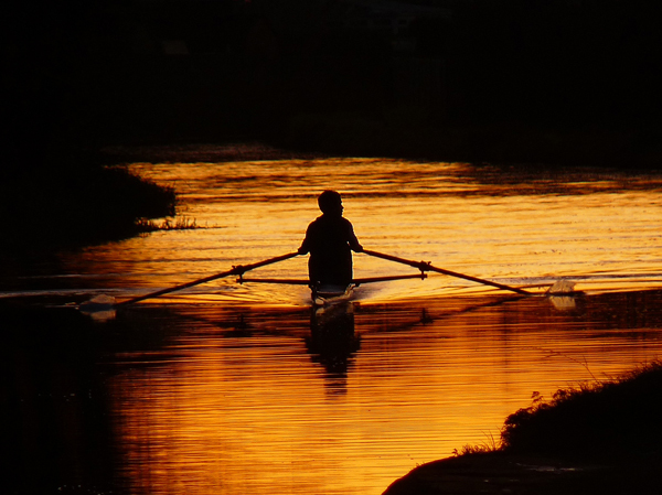Silhouette Photography Examples