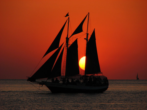 Silhouette Photography Examples
