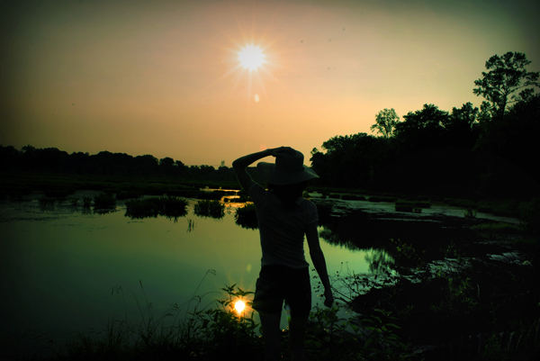 Silhouette Photography Examples