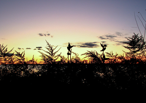 Silhouette Photography Examples