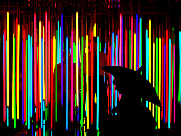 Silhouette Photography Examples