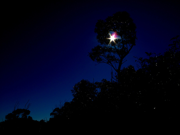 Silhouette Photography Examples