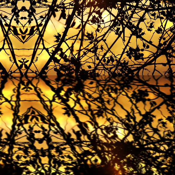 Silhouette Photography Examples