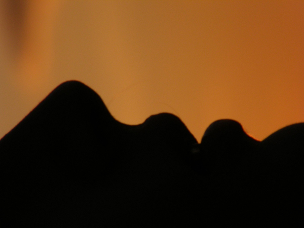 Silhouette Photography Examples