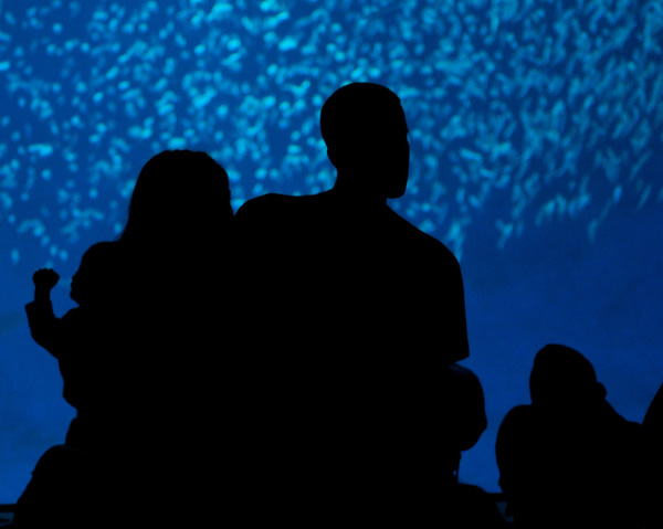 Silhouette Photography Examples