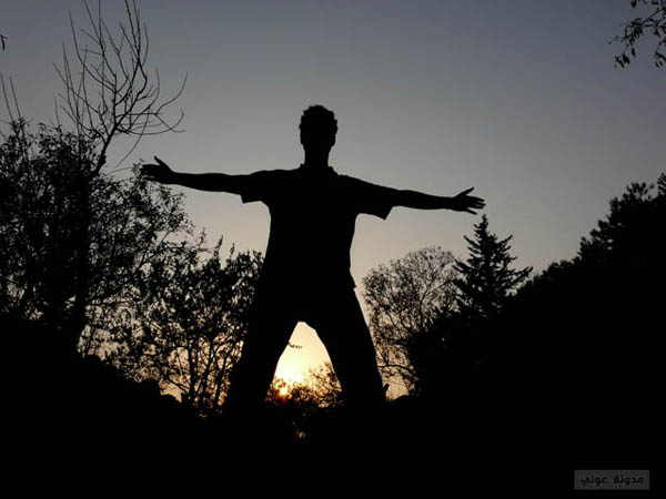 Silhouette Photography Examples