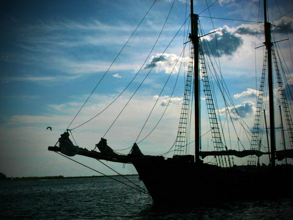 Silhouette Photography Examples
