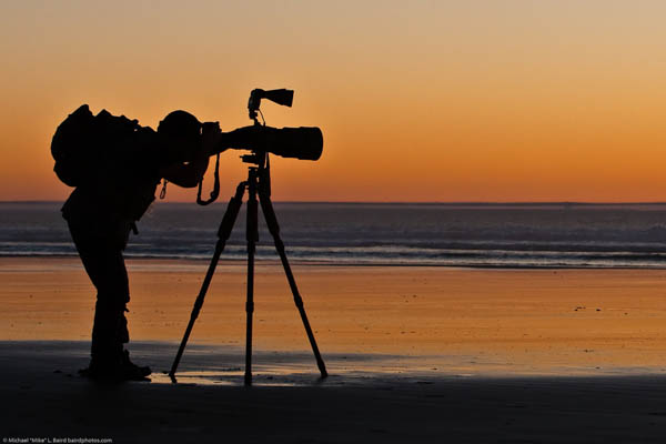 Silhouette Photography Examples