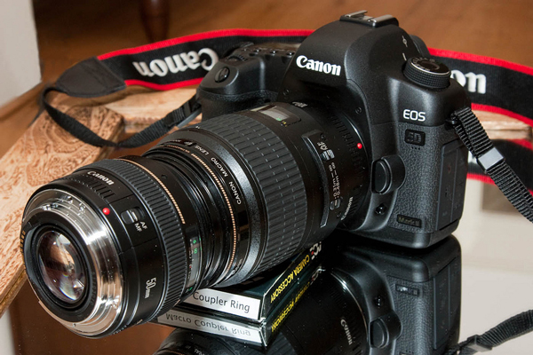 budget macro photography