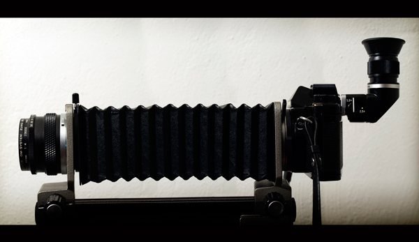 budget macro photography