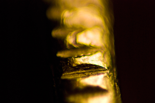 budget macro photography