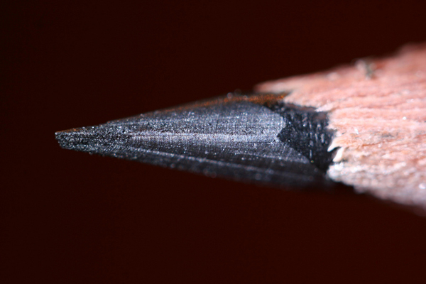 budget macro photography