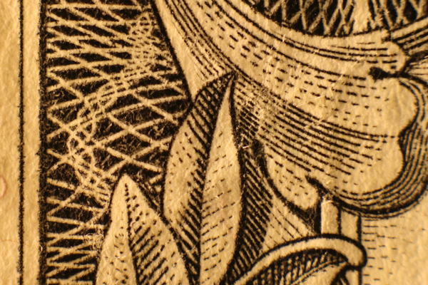 budget macro photography