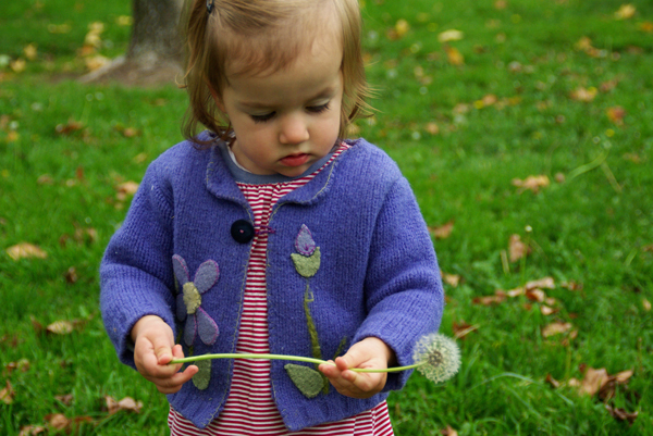 toddler and child photography