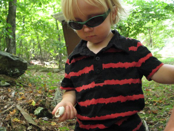 toddler and child photography