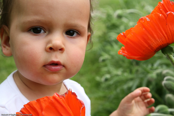 toddler and child photography