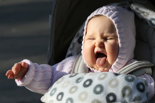 toddler and child photography