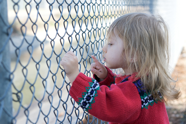 toddler and child photography