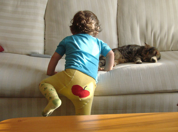 toddler and child photography