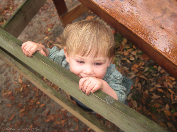 toddler and child photography