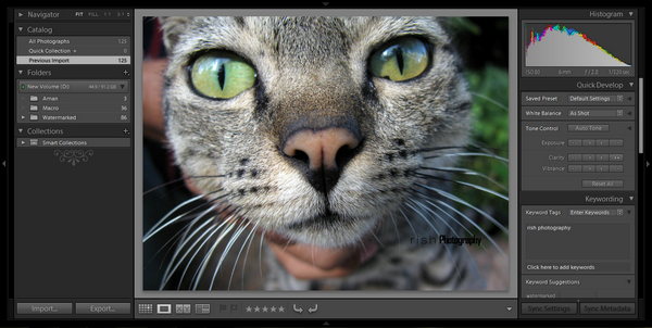 why you should consider adobe photoshop lightroom