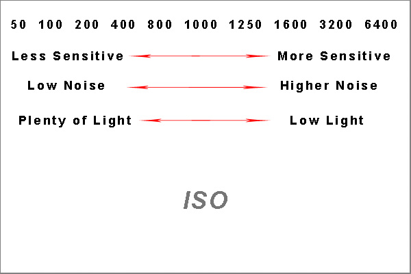 beginner's guide to exposure