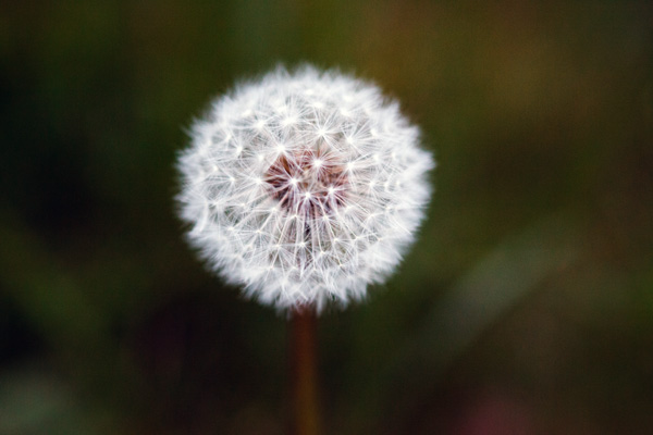 adding mood to your photos