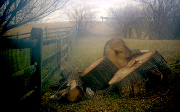 Medium Format Photography Tips