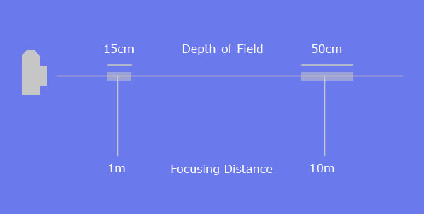 shallow depth of field photography