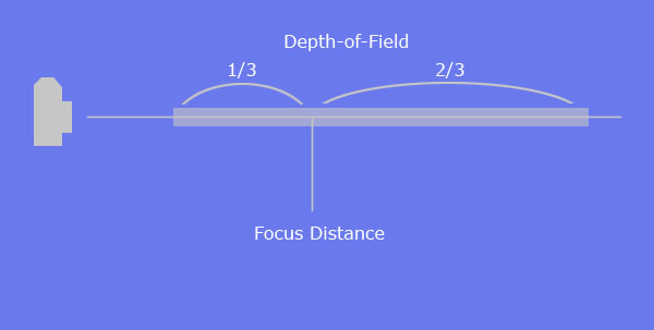 shallow depth of field photography