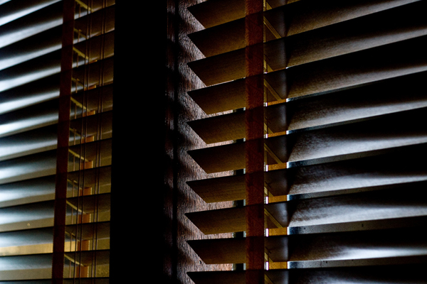 backlit photography examples