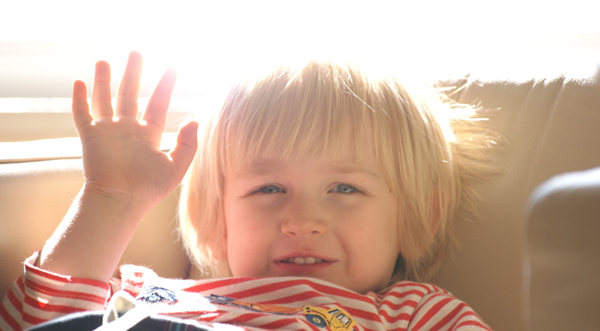 backlit photography examples